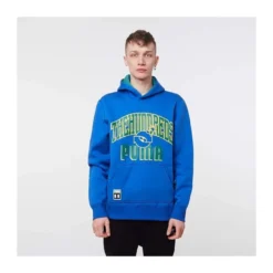 Sweatshirts m. hætte Puma