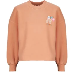 Sweatshirts Newtone