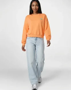 Sweatshirts Only
