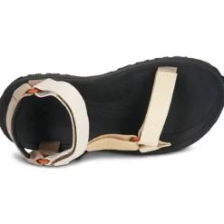 Teva Winsted