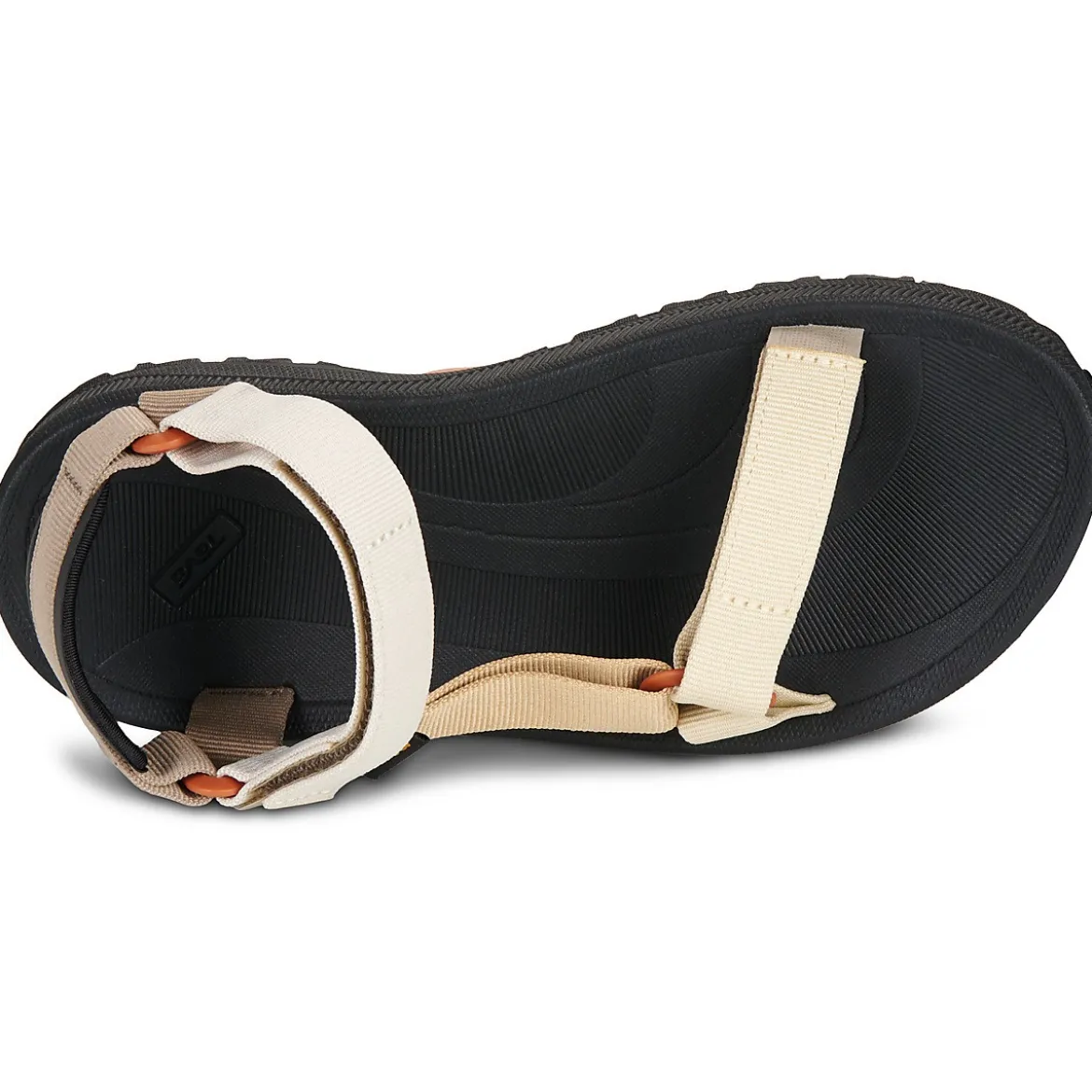 Teva Winsted