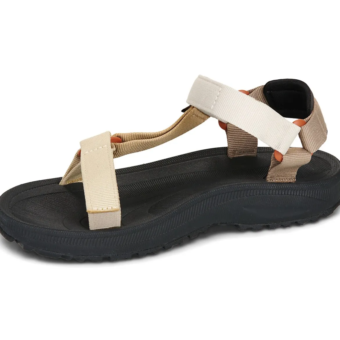 Teva Winsted