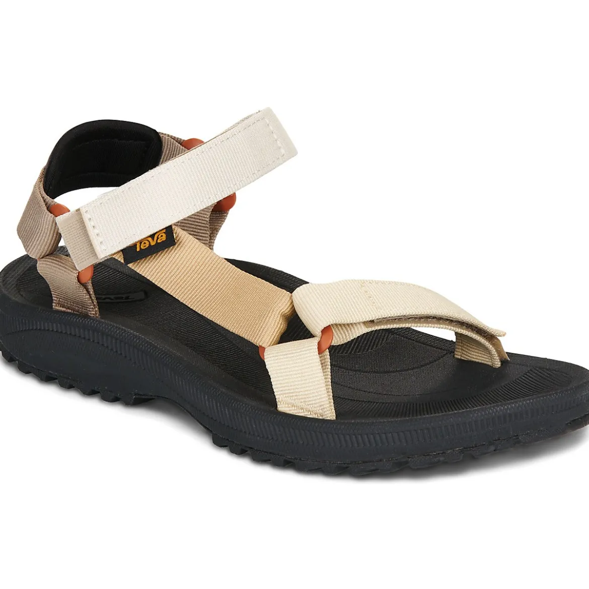 Teva Winsted