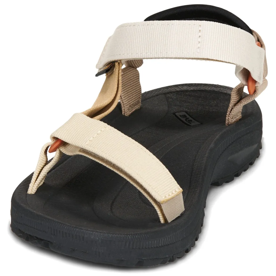 Teva Winsted