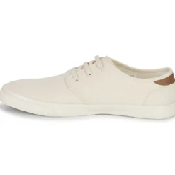 Toms CARLO