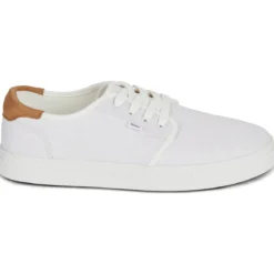 Toms CARLO