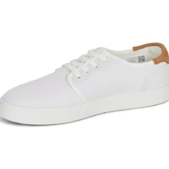 Toms CARLO