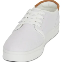 Toms CARLO