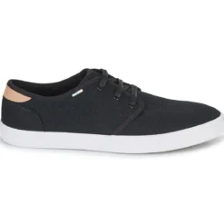 Toms CARLO