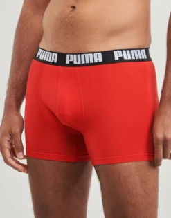 Trunks Puma