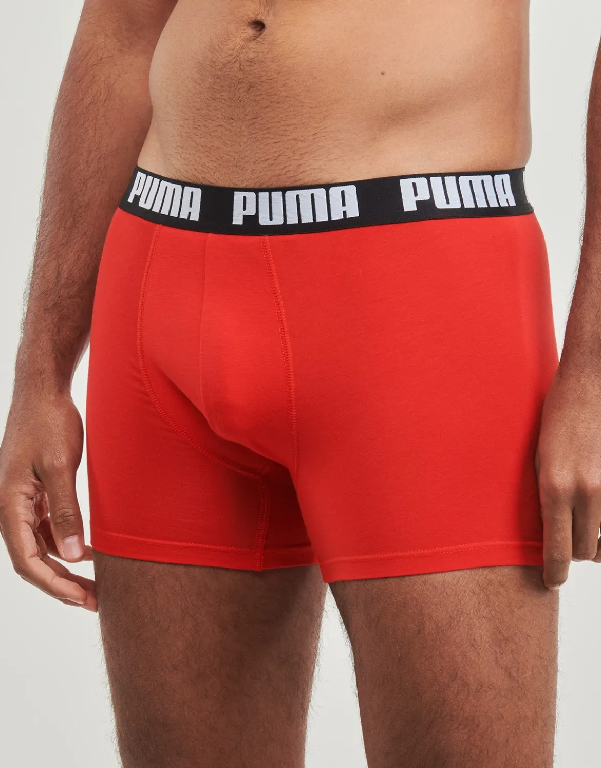 Trunks Puma