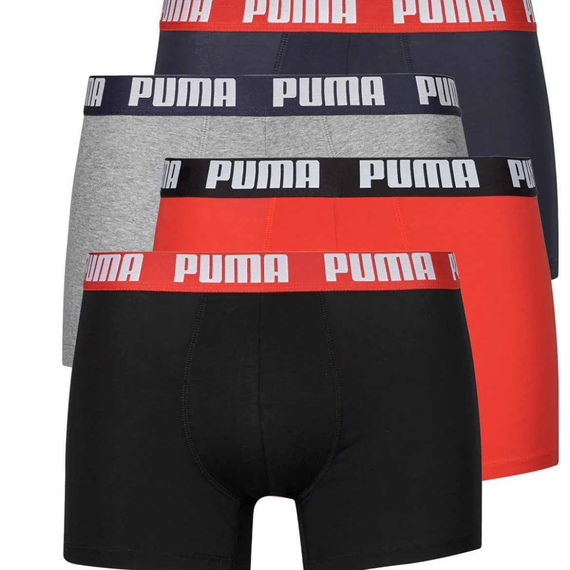 Trunks Puma