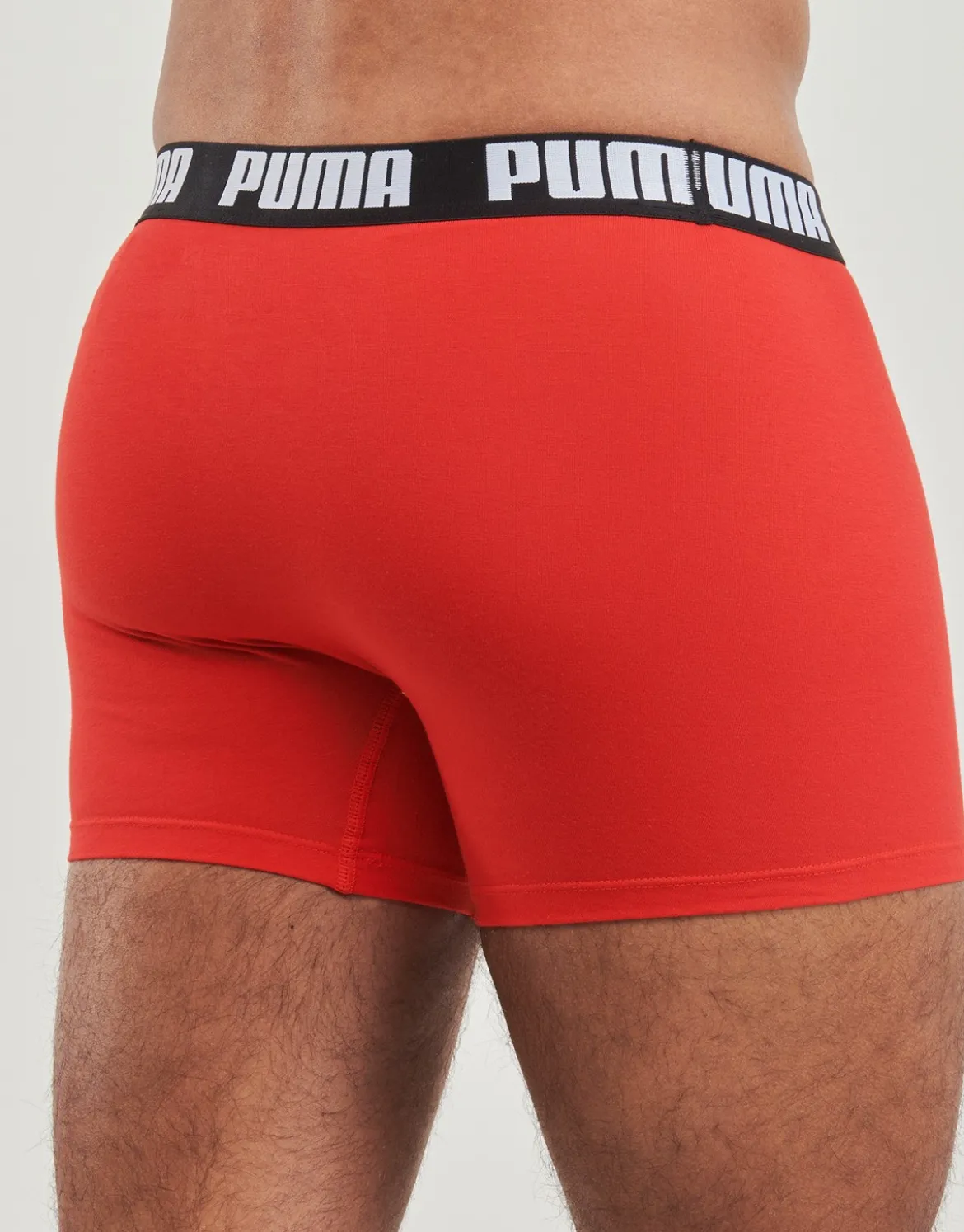Trunks Puma
