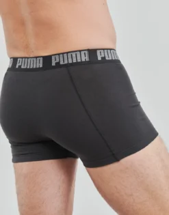Trunks Puma