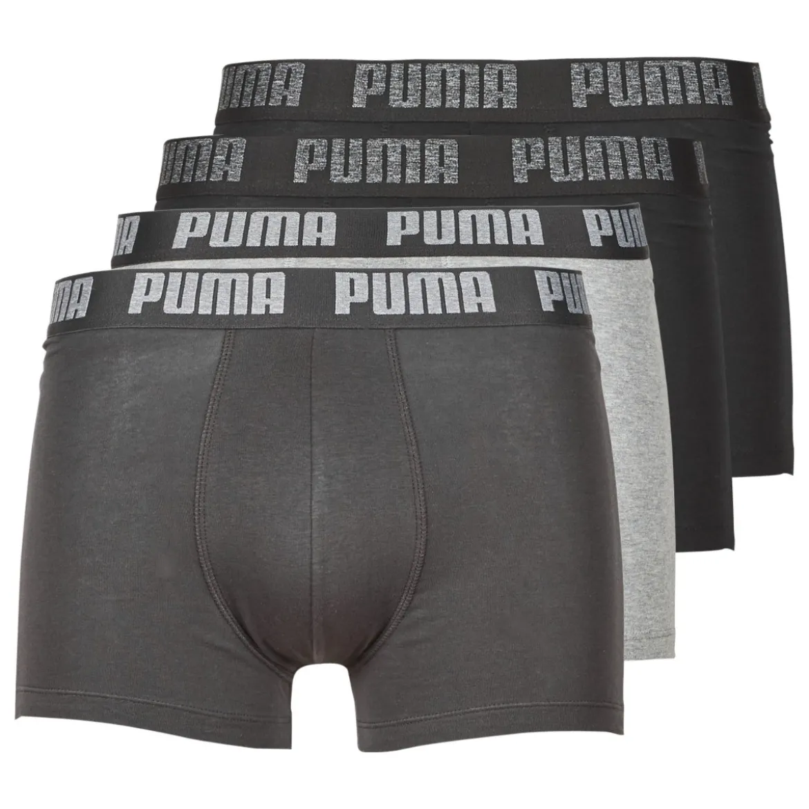 Trunks Puma