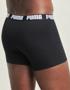 Trunks Puma