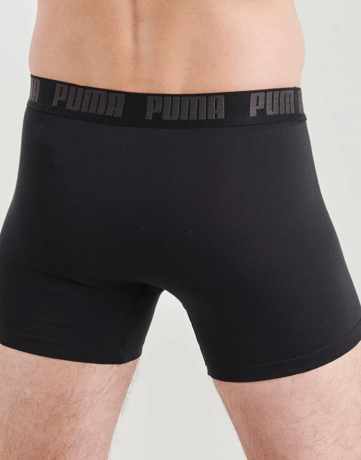Trunks Puma