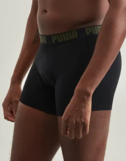 Trunks Puma