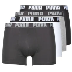 Trunks Puma