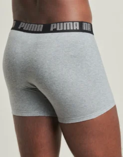 Trunks Puma