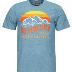 T-shirts m. korte ærmer Superdry